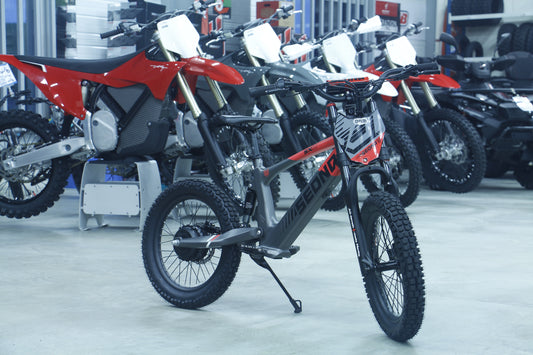 Gamme Sedna électrique : les draisiennes MX et SX disponibles chez EMX16
