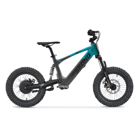 Draisienne électrique SEDNA SX16