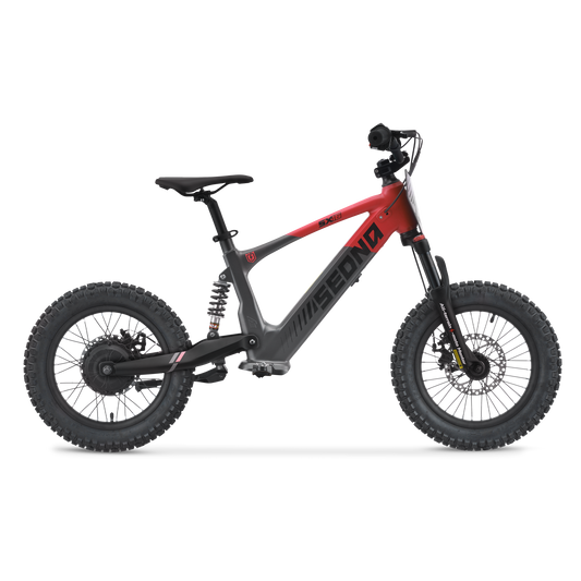 Draisienne électrique Sedna SX16"