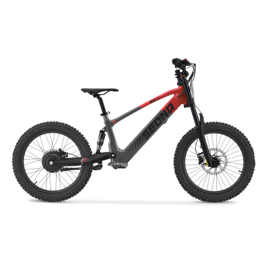 Draisienne électrique Sedna SX20"