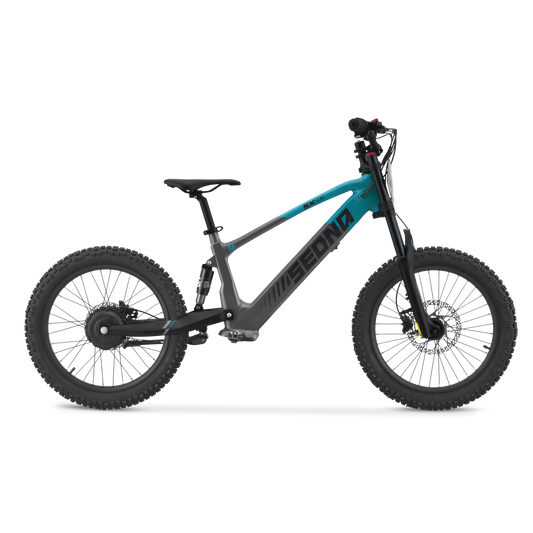 Draisienne électrique SEDNA SX20